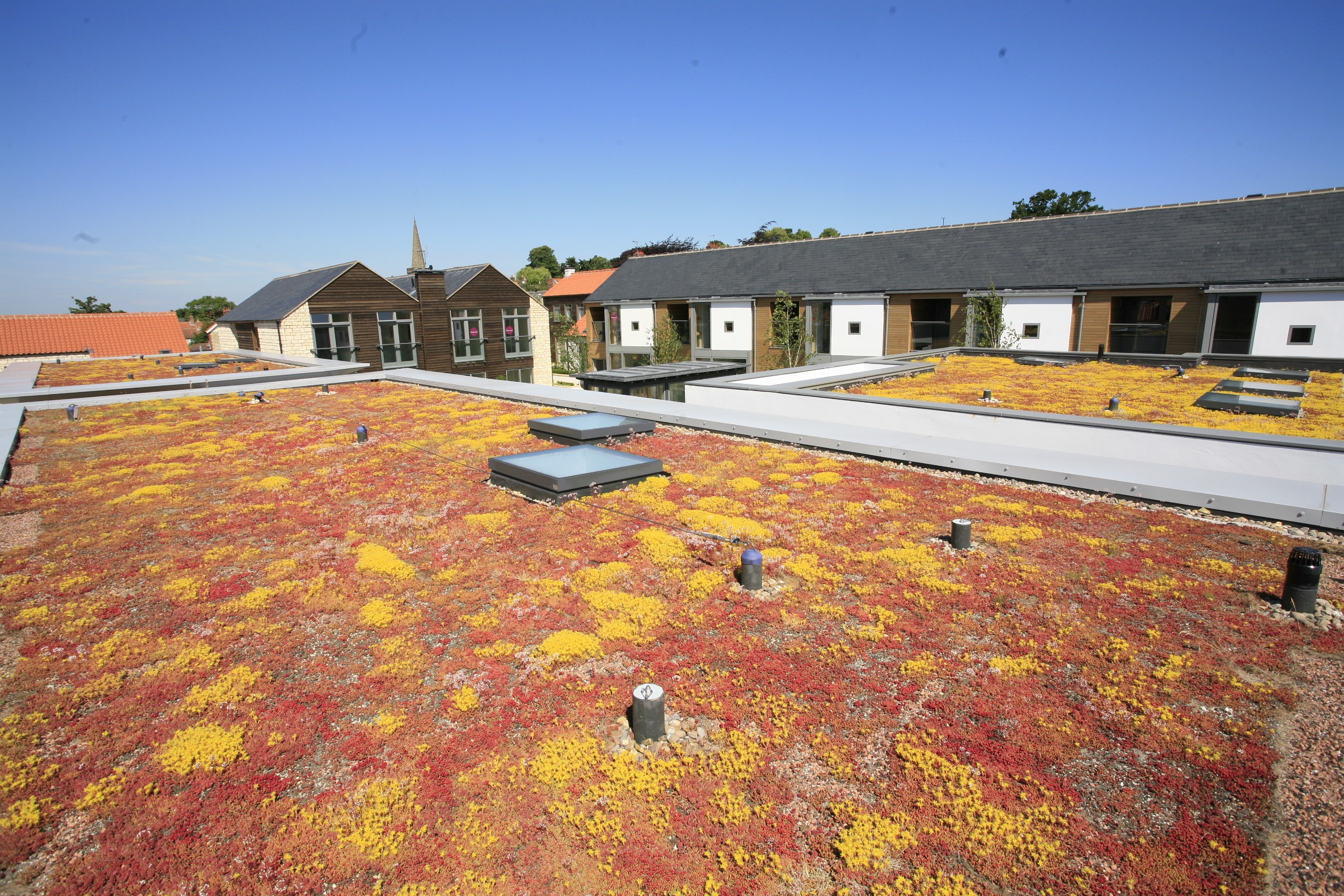 Sempergreen green roofs UK (10)