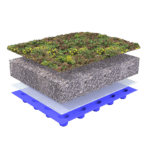 Traditional Sedum Green Roof build up