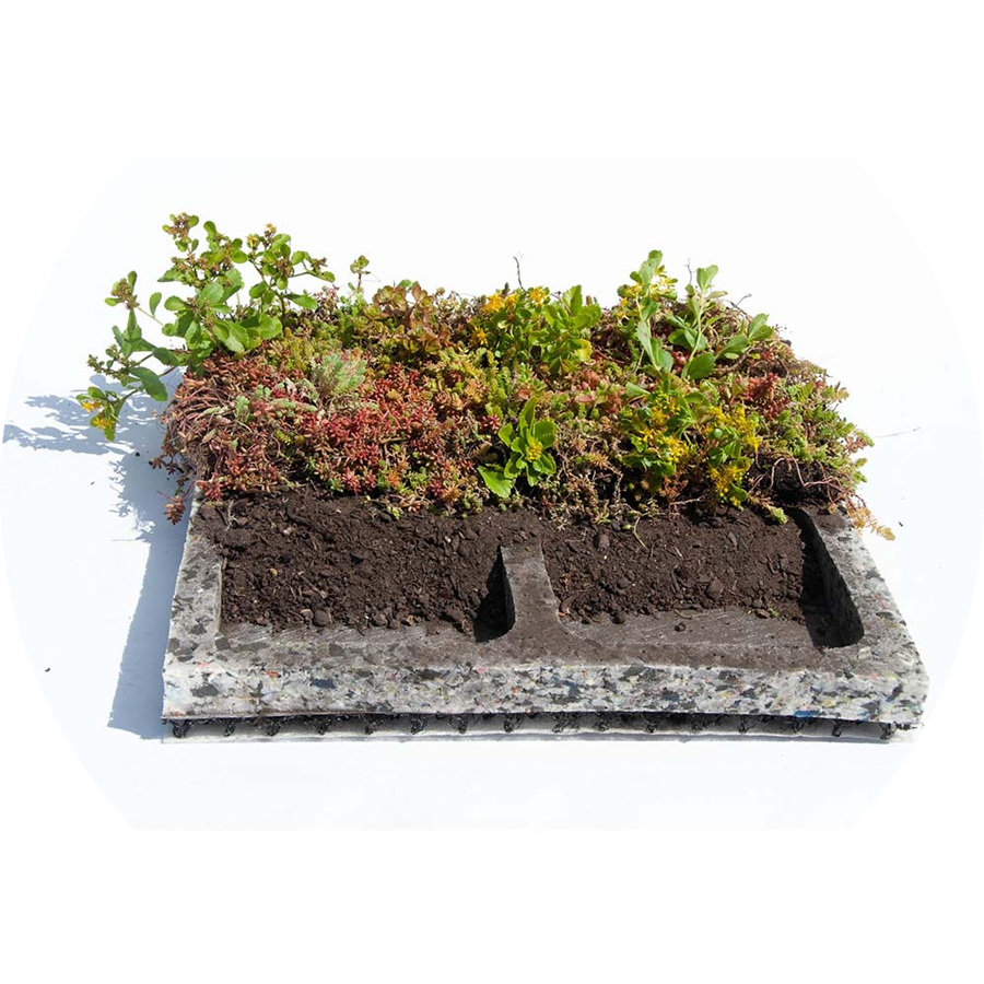 Root Barrier