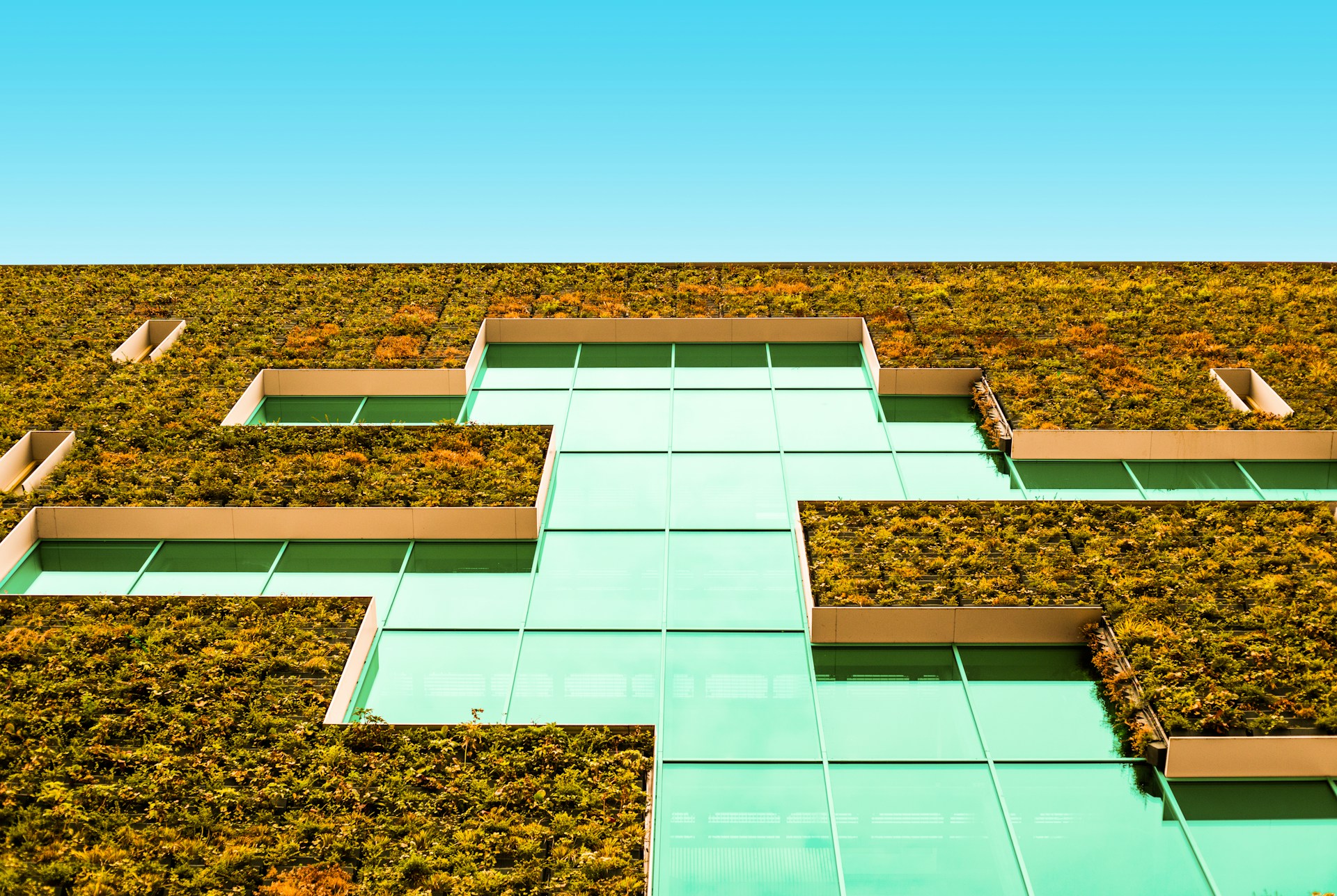 hospital green roofs